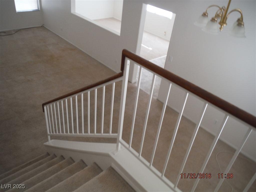 Photo #5