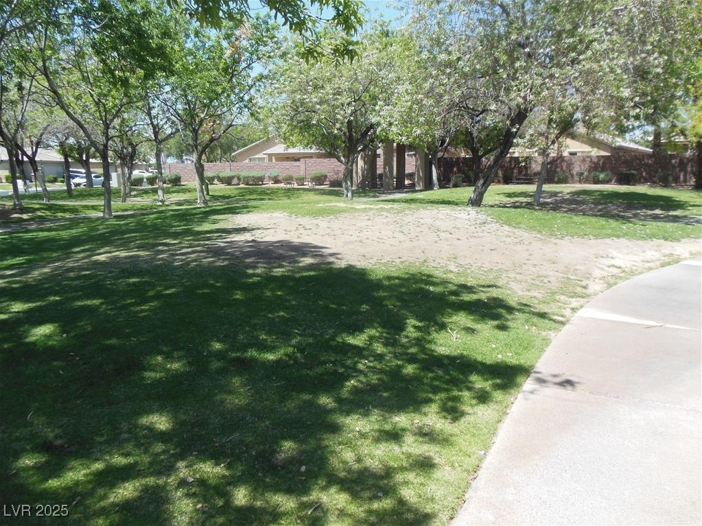 Photo #4