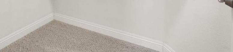 Photo #16
