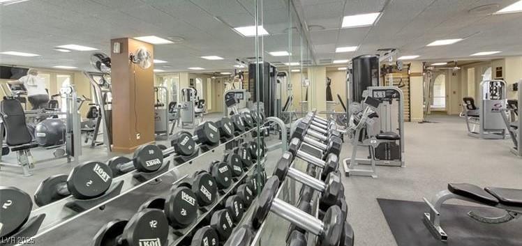 Photo #41