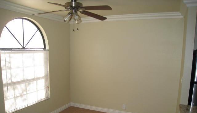 Photo #8