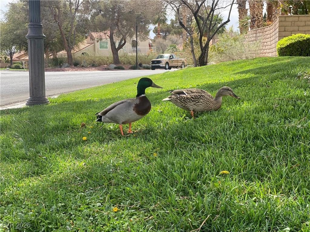 Photo #43