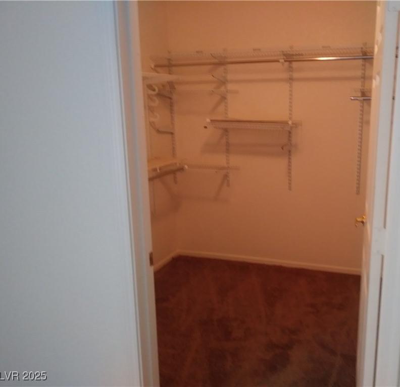 Photo #11