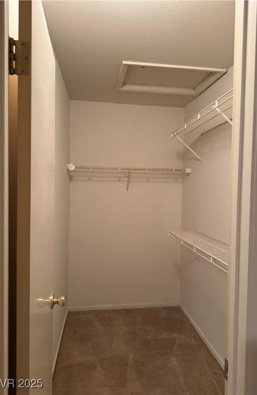 Photo #16