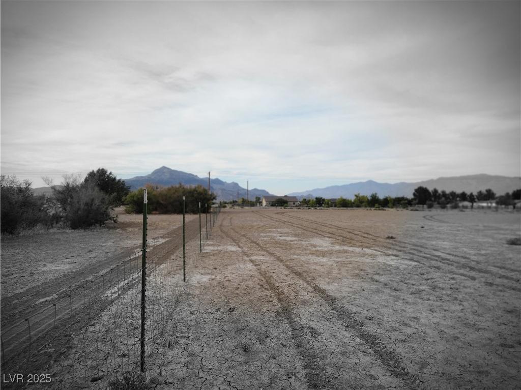 Photo #13
