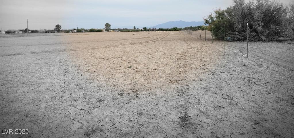 Photo #15
