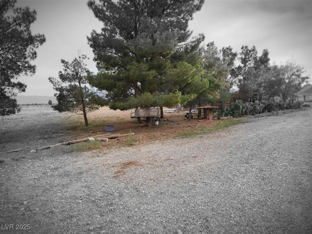 Photo #5