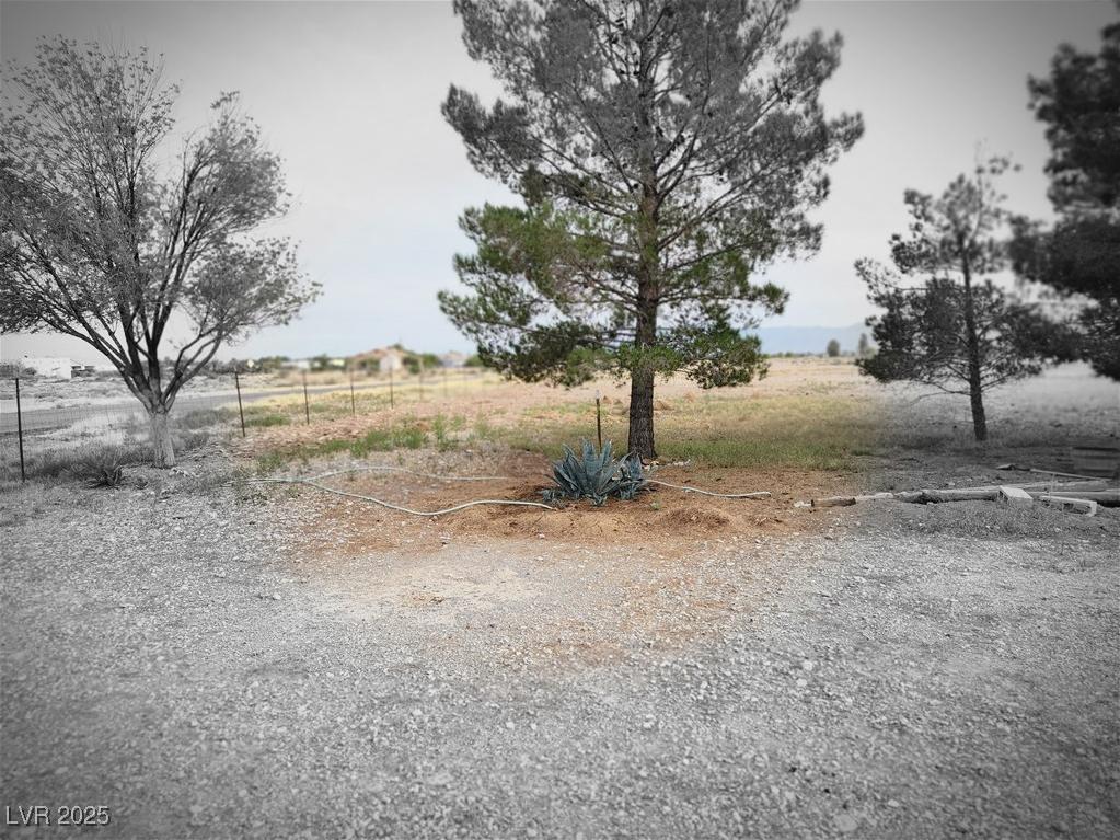 Photo #6