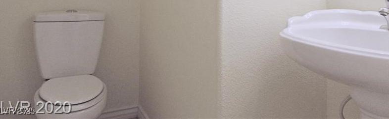 Photo #10