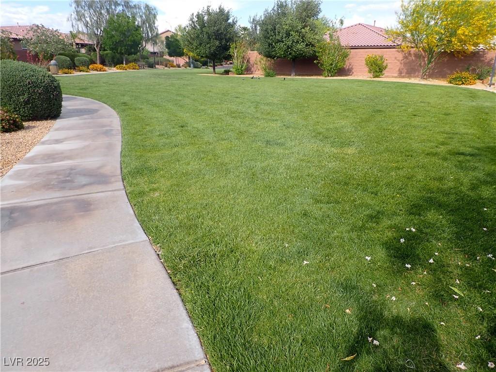 Photo #37