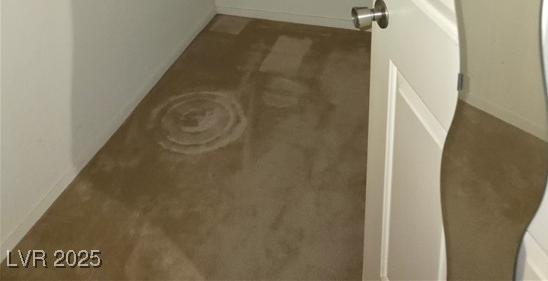 Photo #11