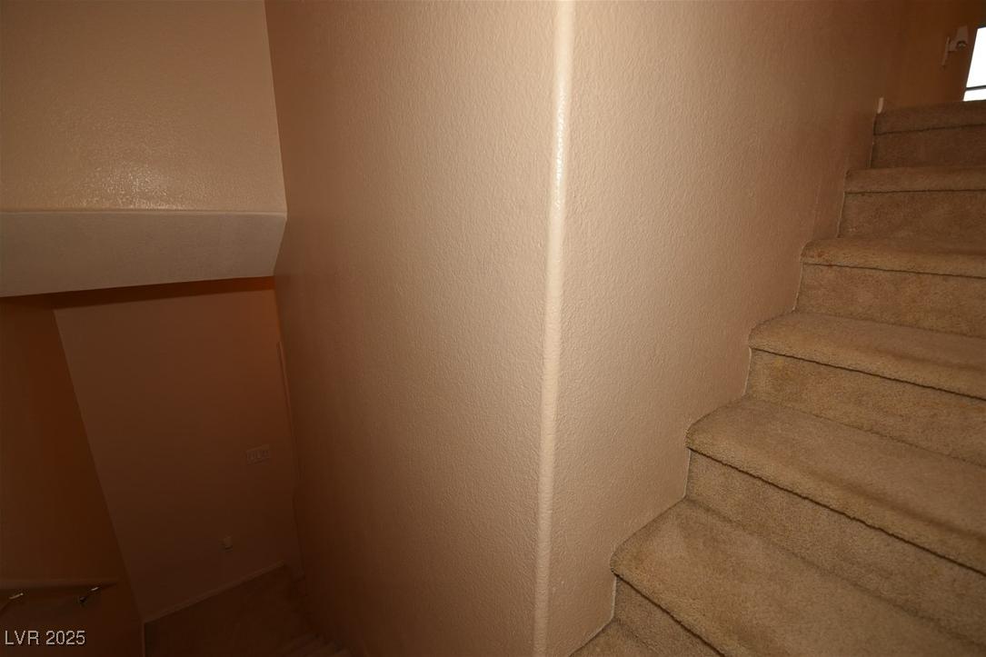 Photo #19