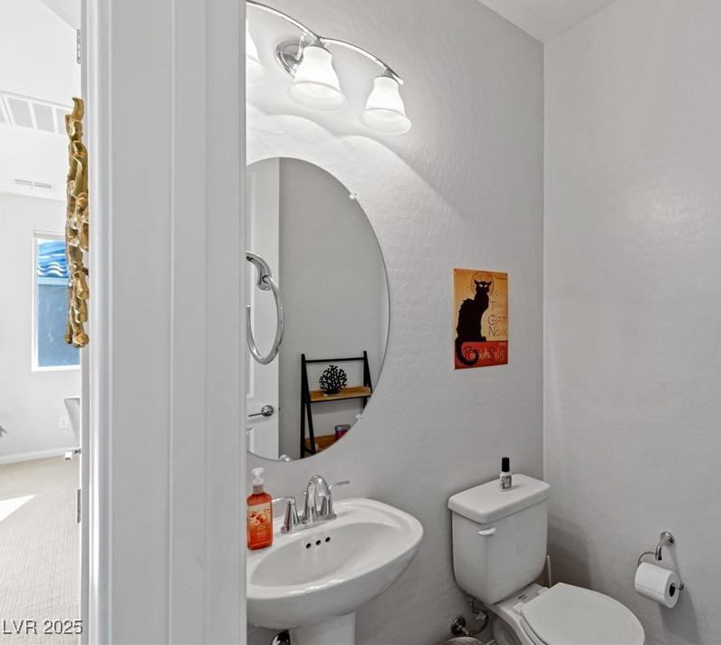 Photo #42