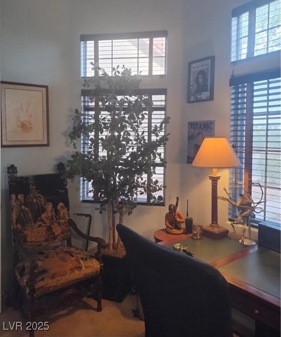Photo #48