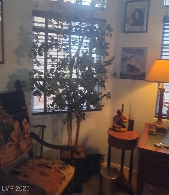 Photo #43