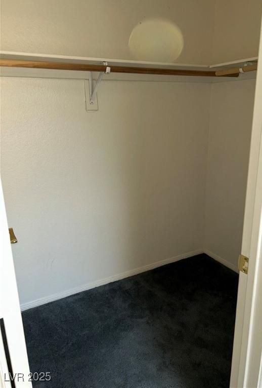 Photo #9