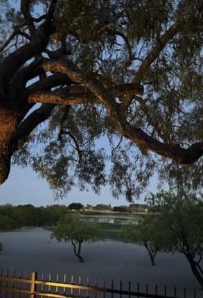 Photo #35
