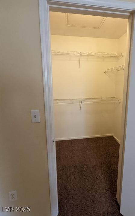 Photo #18