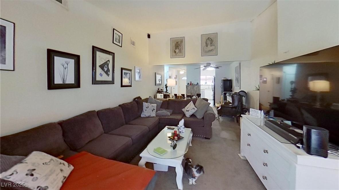 Photo #41