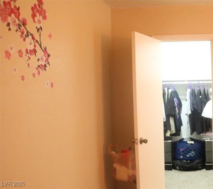 Photo #28