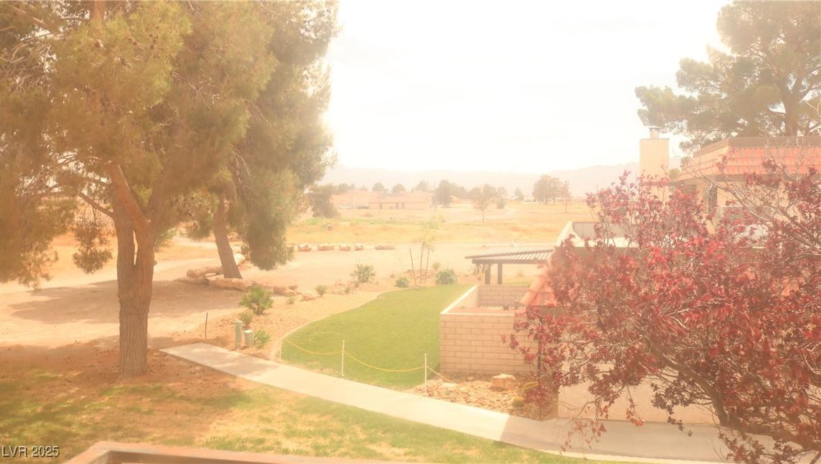 Photo #35