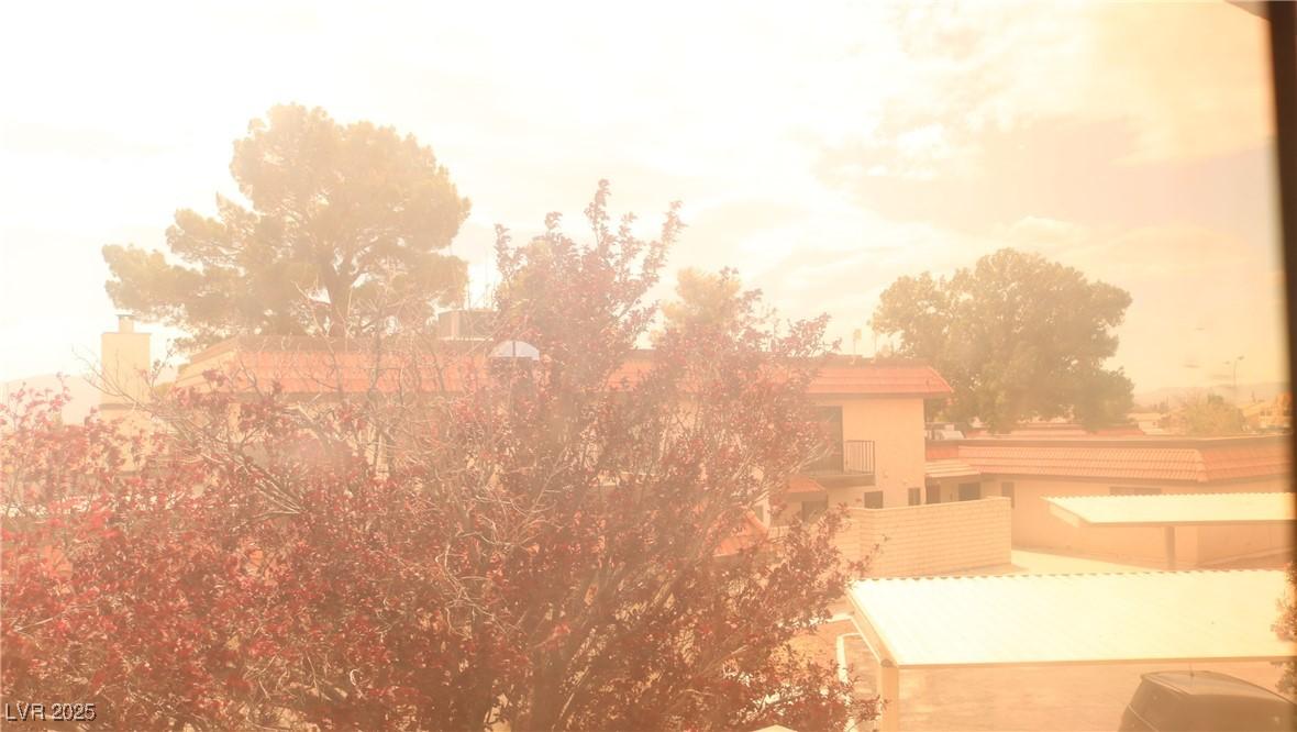 Photo #36