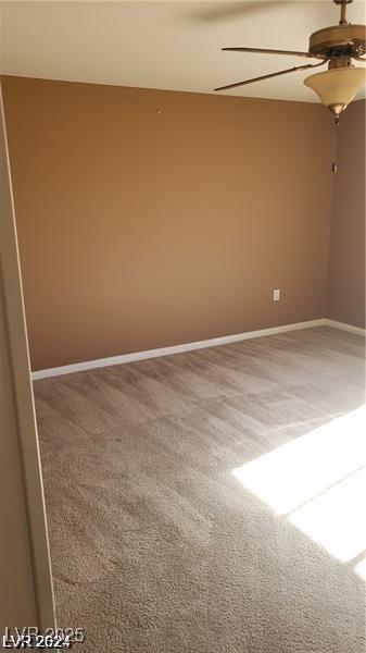 Photo #24