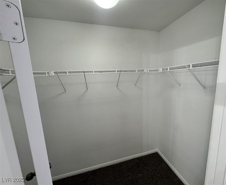 Photo #16