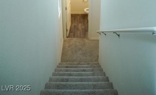 Photo #13