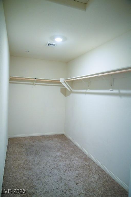 Photo #16