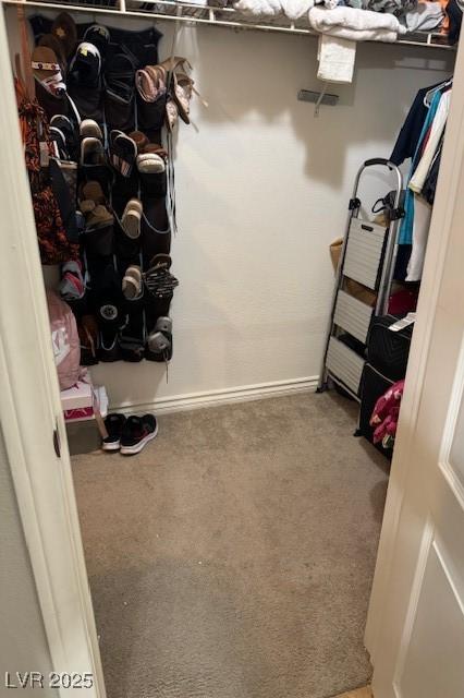 Photo #17