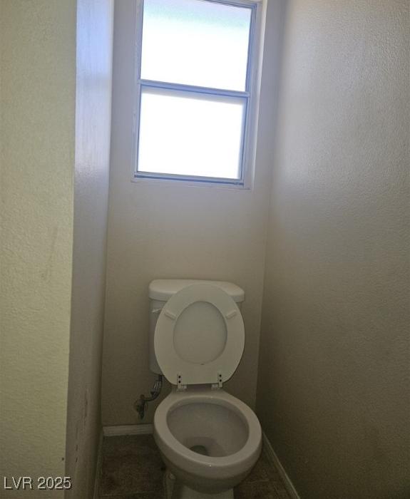 Photo #11