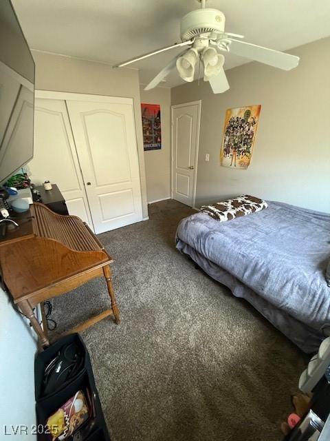 Photo #24