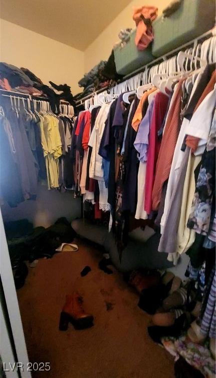 Photo #16