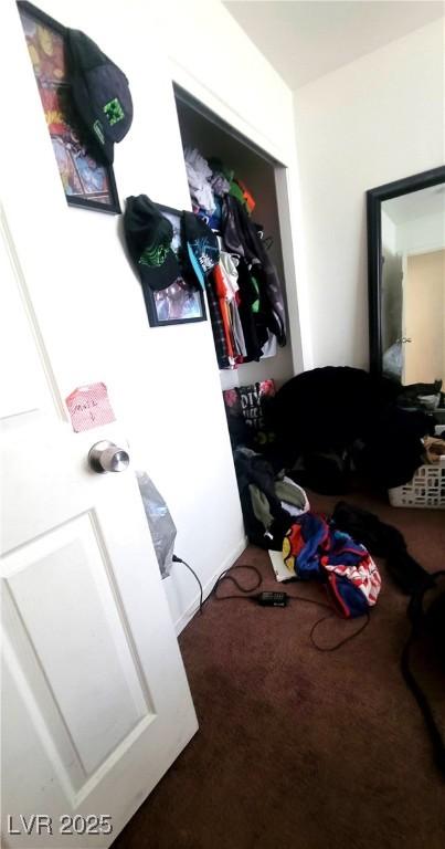 Photo #22