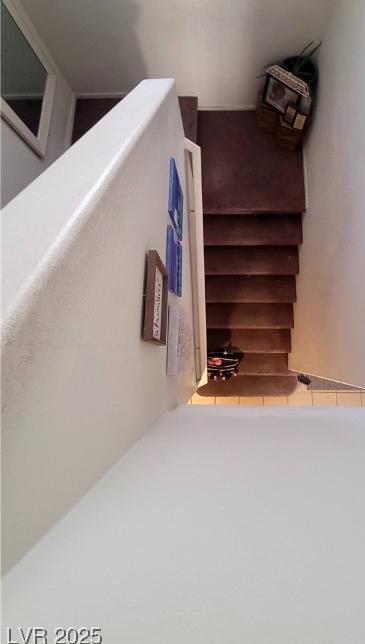 Photo #36