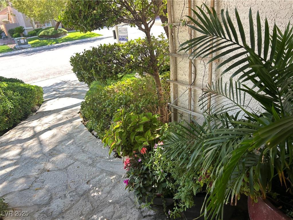 Photo #4