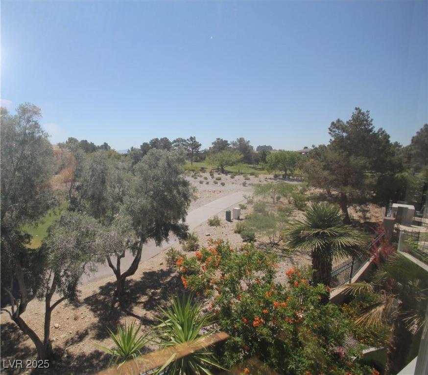 Photo #7