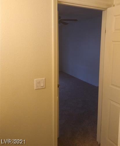 Photo #38