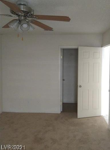 Photo #29