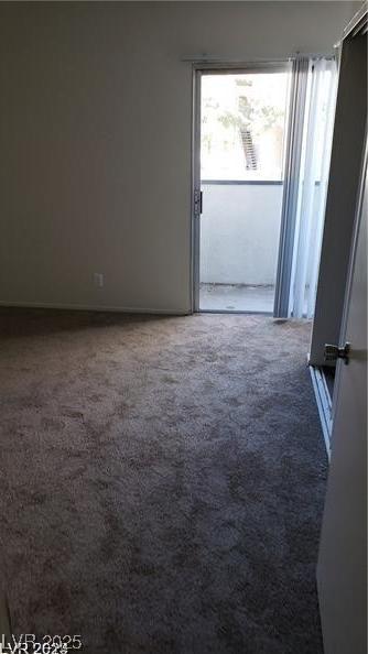 Photo #19
