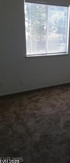 Photo #15