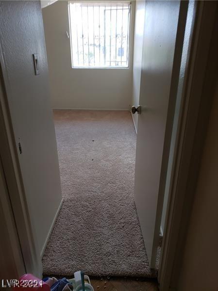 Photo #19