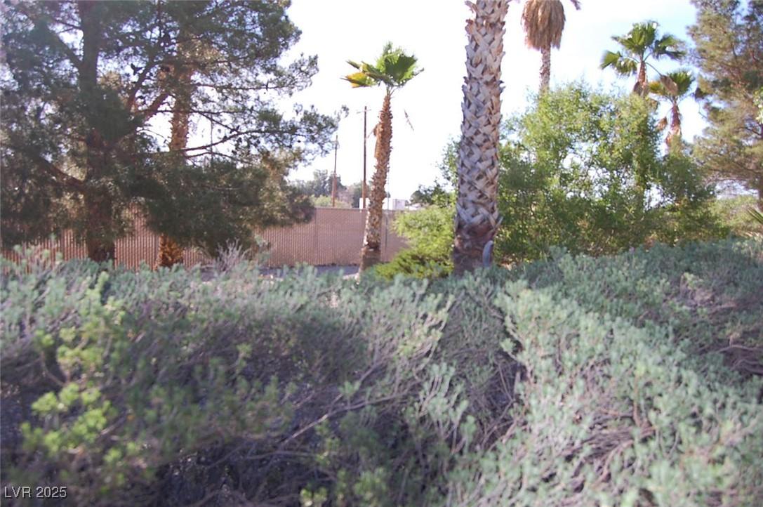 Photo #33