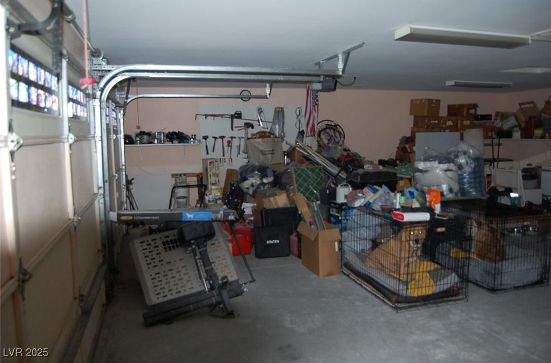 Photo #15