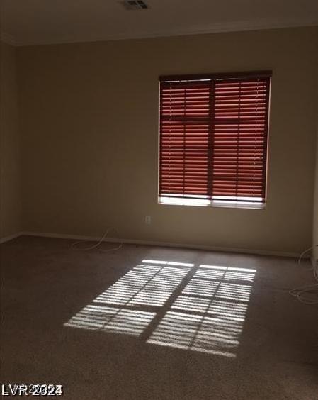Photo #14