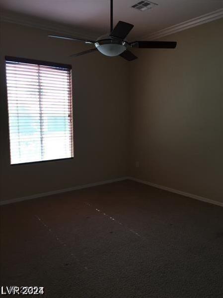 Photo #24