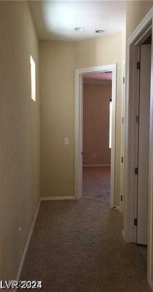 Photo #16