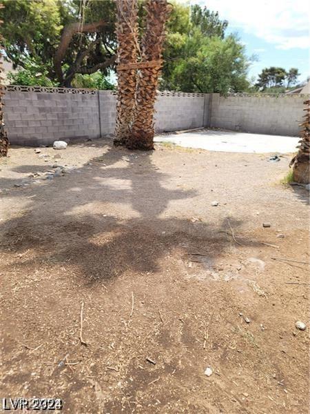Photo #19