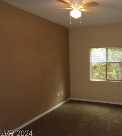 Photo #14